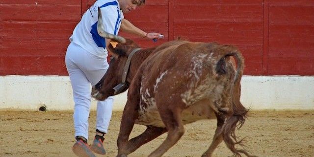 Navarra Taurina