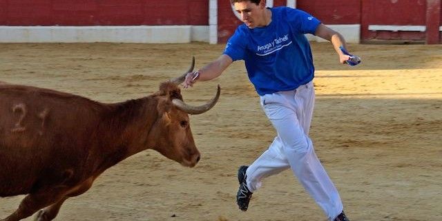 Navarra Taurina